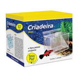 Criadeira Mini P/ Peixes Still Pet