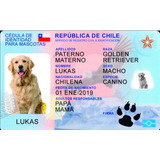 Credencial Carnet Para Mascotas (pvc) Sublimados $3.000 