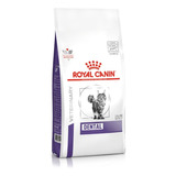 Alimento Royal Canin Feline Dental Higiene Bucodental 1.5 Kg