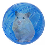 Kit 2 Bolas Para Hamster Roedores Ball Savana Pet Cor Azul 1