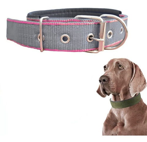 Collar Perros Grandes Reforzado Interior Soft