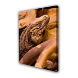 Vinilo Decorativo 40x60cm Iguana Reptil Lagartija Fauna M1