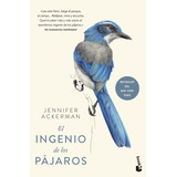 Libro El Ingenio De Los Pã¡jaros - Ackerman, Jennifer