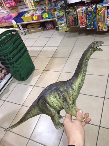 Dinosaurio Cuello Largo