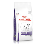 Alimento Royal Canin Dental Small Dog 4kg Higiene Bucodental