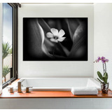 Vinilo Decorativo 50x75cm Pequeña Flor En Blanco