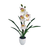 Orquidea  Artificial Phalaenopsis - Desillas