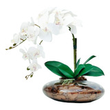 Arranjo Com 2 Orquideas Flor Brancas Realista Vaso Terrário