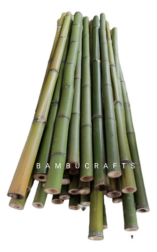 50 Varas De Bambú Natural Verde Cerca 110 Cm / 2-3 Cm Grosor