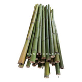 50 Varas De Bambú Natural Verde Cerca 110 Cm / 2-3 Cm Grosor