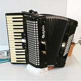 Acordeon Dolphin 60 Baixos