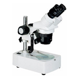 Lupa Microscopio Estereoscopico Binocular 20x / 40x - Xtx-3b