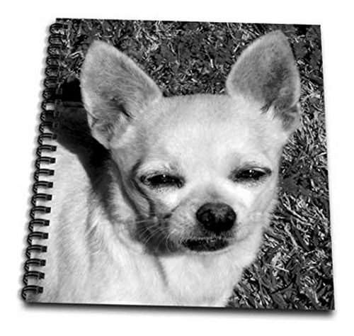 Mini Libreta Chihuahua Love, Fotografía En Blanco Y Negro