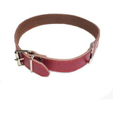 Collar Wonder Dog Eco-cuero Talla M Pethome