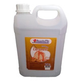 Cobertura Sorvetemix Caramelo Ello C/ 6,8 Kg