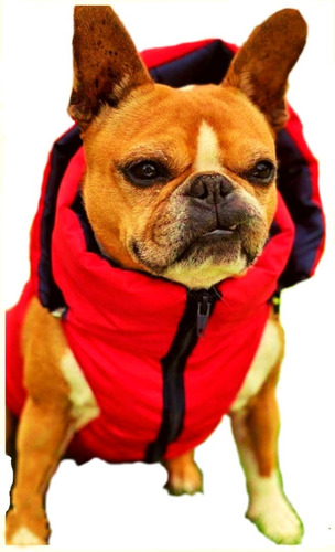 Chaleco Impermeable Talla M - Ropa Para Mascotas Perros