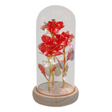 Flor Preservada En Cúpula De Vidrio Rosa De Amor Rojo