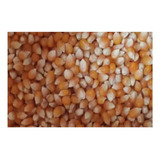 Maíz Curagua Para Cabritas-popcorn-cotufas-palomitas 2 Kilos