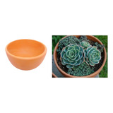 Vaso Decorativo Bowl Para Suculentas 16x9 Terrário Cerâmica