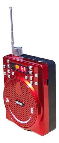 Bocina C/amplificador De Voz Recargable Con Usb Y Bluetooth