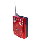 Bocina C/amplificador De Voz Recargable Con Usb Y Bluetooth