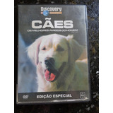 Dvd Cães - Os Melhores Amigos Do Homem - Discovery Channel