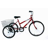 Bicicleta Triciclo Luxo Aro 26 Completo