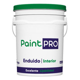 Enduido Plástico Interior Paint Pro 25 Kg