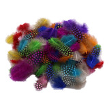 100pcs Color Mix Plumas De Gallina De Guinea Accesorios Diy