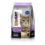 Br For Cat Gatos Castrados 1kg