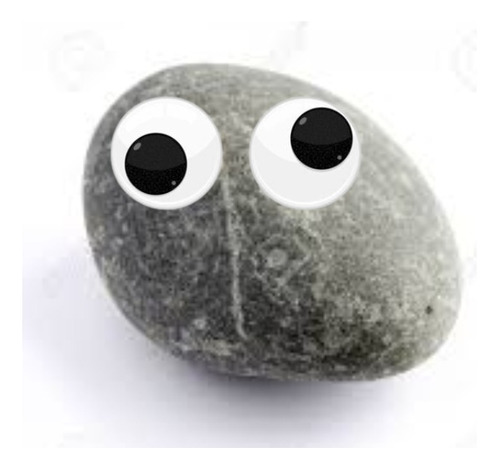 Pet Rock, Piedra Mágica: El Juguete De Entrenamiento