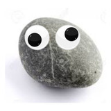 Pet Rock, Piedra Mágica: El Juguete De Entrenamiento