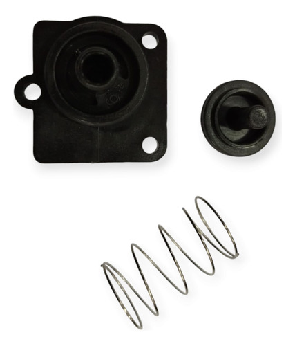 Kit De Reparacion Para Bomba Presurizadora Shurflo 4008