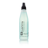 Salerm Brushing Protector Térmico 250ml Uso De Secadora