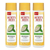 Burt's Bees Baobab Oil More Moisture Shampoo, Sulfate-free S