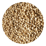 Cereal Natural Quinoa Inflada Endulzada 500g Nutritivo Snack