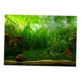 Imagen En 3d Atractiva Waterweeds Fondo Poster / 122x46cm