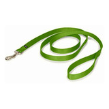 Petsafe Leash, 3/4  X 6', Medium, Apple Green