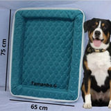 Cama Pet Cachorro Gato Tamanho Grande Casinha Colchonete D33