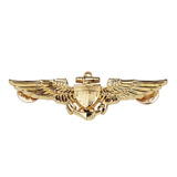 Piocha Insignia Piloto Aviador Naval Us Navy Top Gun