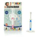 Cepillo Dental Para Higiene Durante La Segunda Denticion