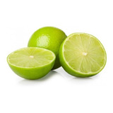 Limon Colima Sin/semilla Arbolito Frutal Injertado Productor