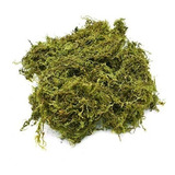 Musgo Natural Deshidratado Verde 500 Gramos Arreglo Floral