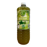 1 Botella Jugo De Maguey Asado Con Clorofila Verde Santo 1l