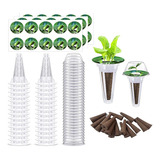 Kit De 24 Cápsulas De Semillas Para Aerogarden, Hidroponía,