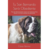 Tu San Bernardo Sera Obediente: Plan De Adiestramiento Canin