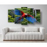 Set De 5 Cuadros Decorativo Canvas  Guacamaya, Loro Aves 3