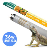 Tubo Reptiles Reptistar Importado Alemania 15w 18w 36w Nm