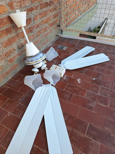 Ventilador De Techo De 3 Tulipas