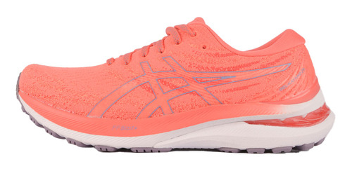 Zapatillas Asics Gel-kayano 29 2371 Dash